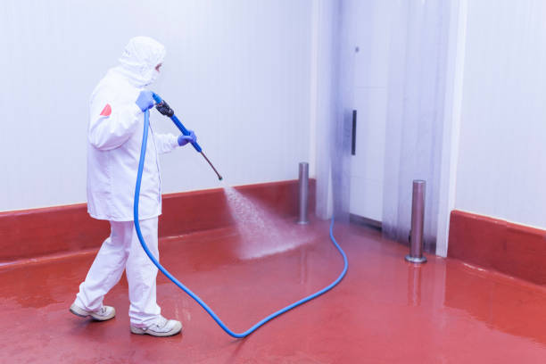 Best Warehouse Cleaning  in Oneonta, NY