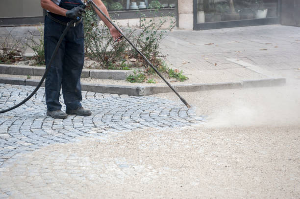 Best Sidewalk and Walkway Cleaning  in Oneonta, NY